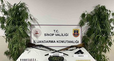 Sinop'ta jandarmadan uyuşturucu operasyonu: 1 gözaltı