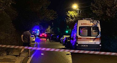 Sosyal medya paylaşımını görünce İstanbul'dan Bodrum'a gelip saldırıyı gerçekleştirmişler