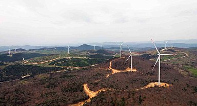 Tatlıpınar Enerji halka arz oluyor