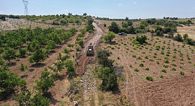 Turizm ilçesi Pamukkale'de tarım da gelişiyor