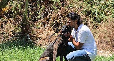 Türkiye'de nadir bulunup barınaktan kaçan Dutch Shepherd cinsi köpek için seferber oldular