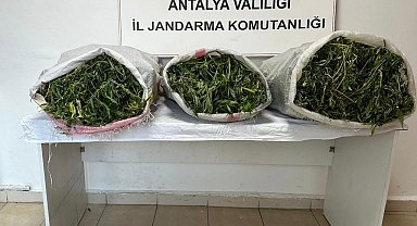 19 kilo 745 gram skunk maddesi ele geçirildi