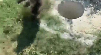 3 metrelik çukura düşen porsuğu itfaiye kurtardı
