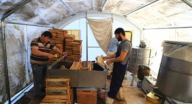 'Temiz Petek' projesi başladı