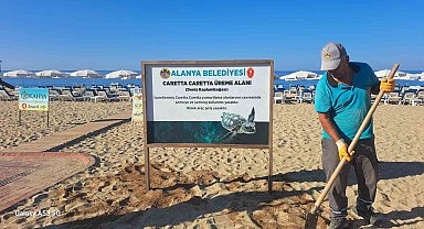 Alanya Belediyesinden caretta carettalara özel çalışma