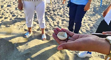 Alanya'da caretta caretta yuvalarındaki yumurtalar tek tek kontrol edildi