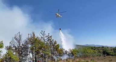 Alanya'daki orman yangını karadan ve havadan müdahaleyle büyümeden söndürüldü