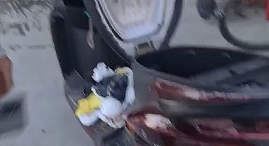 Arnavutköy'de motosikletin koltuk kısmını açtılar, altından yavru kedi çıktı