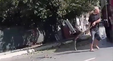 Arnavutköy'de yola sarkan ağacın dallarına çarpan kamyon şoförüne böyle saldırdılar