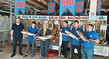 Balıkçı Kenan Balcı: "Denizden balık fışkırıyor herkes balık yemeli"