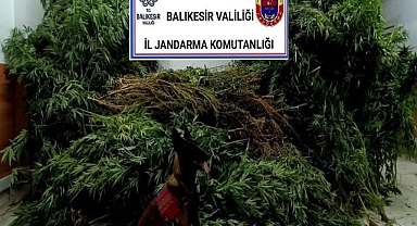 Balıkesir'de 27 Şüpheliye Organize Suç Operasyonu