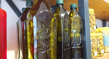 Balıkesir'de Hasat Yaklaşırken Zeytinyağı Üreticileri Mutlu 