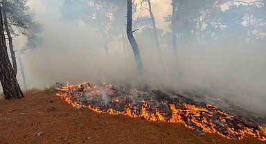 Bayramiç'te yıldırım düşmesi sonucu örtü yangını çıktı