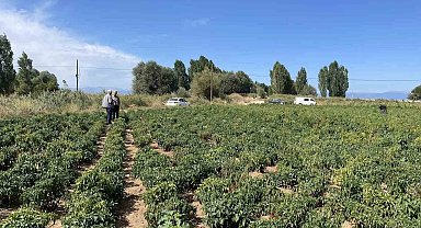 Beyşehir'de çiftçiler ürün zararlılarına karşı bilgilendiriliyor