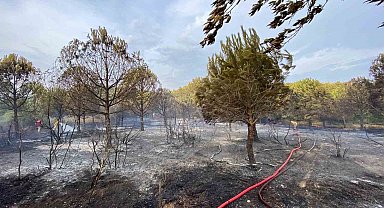 Biga'da çıkan orman yangını büyümeden söndürüldü