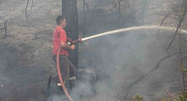 Bursa'da orman yangını arıları telef etti, ekipler alevlere böyle müdahale etti