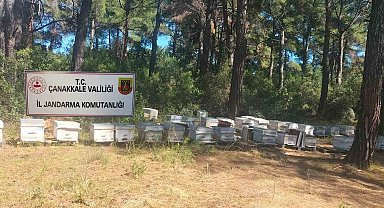 Çanakkale'de arı kovanı hırsızlığı