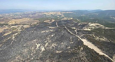 Çanakkale'de bu yıl 114 orman yangınında 4 bin 260 hektar ormanlık alan zarar gördü