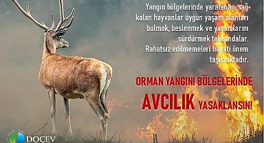 Çevrecilerden 'Yangın bölgelerinde avcılık yasaklansın' talebi