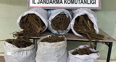 Diyarbakır'da 121 kilo esrar ele geçirildi