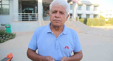 Doğum yapan köpek balığı sandılar, gerçek ay balığı çıktı