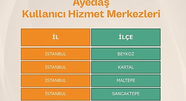 Enerjisa Dağıtım Şirketleri Başkent EDAŞ, Ayedaş ve Toroslar EDAŞ'tan yeni hizmet