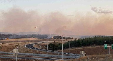 Gelibolu'daki yangın askeri bölgede devam ediyor