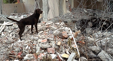 Gerçeğini Aratmayan Deprem Tatbikatı
