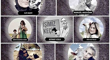 İnegöl'de küçükbaş hayvancılık festivali başlıyor