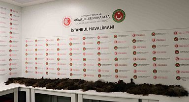 İstanbul'da İnsan saçı kaçakçılarına gümrük muhafaza engeli