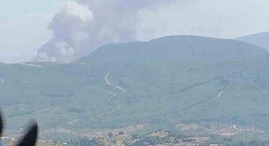 İzmir'de ormanlık alanda yangın