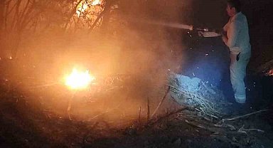 İzmir'de ormanlık alanda yangın