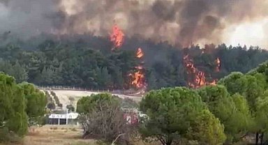 İzmir'deki orman yangınına havadan ve karadan müdahale