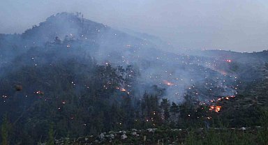 İzmir'deki orman yangınına müdahale sürüyor