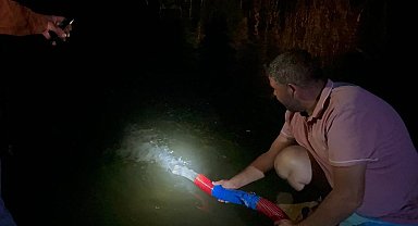 İznik Gölü'ne 2 milyon 200 bin sazan salındı