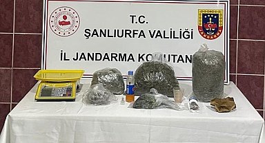 Jandarmadan uyuşturucu operasyonu: 1 gözaltı