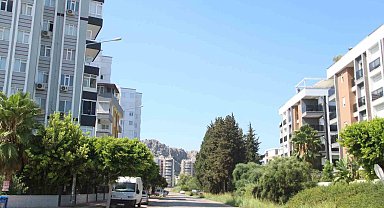 Kapılarına dayanan domuz sürüsü yüzünden siteye giremeyen mahalleli çözüm bekliyor