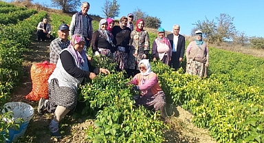 Kaymakam ÖZAY’dan Yaylabayır ziyareti