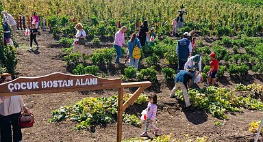 Keçiören'de kreş öğrencileri bostanda hasat yaptı