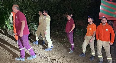Kocaeli'de orman yangını
