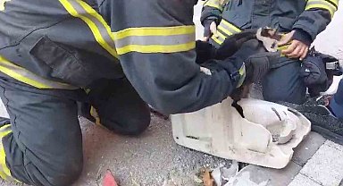 Lavaboya sıkışan yaramaz kedi böyle kurtarıldı