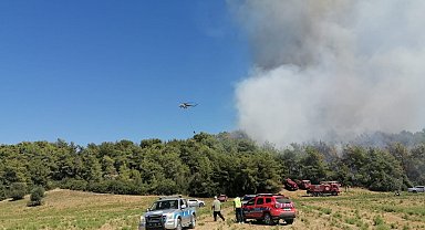 Manavgat'ta orman yangınına havadan karadan müdahale