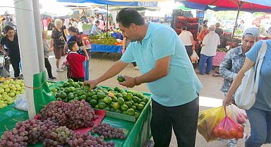 Mandalina Muğla'daki semt pazarındaki tezgahlarda yerini aldı