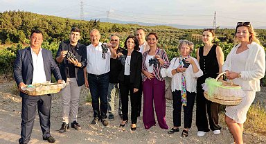 Mudanya Çağrışan'da bağbozumu zamanı