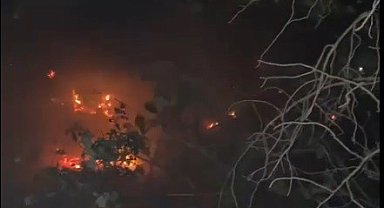 Muğla Menteşe'deki orman yangını kontrol altına alındı