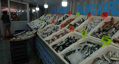 Muğla'da taze balıklar tezgahlardaki yerini aldı