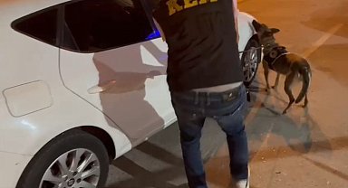 Narkotik köpekleri yerini gösterdi, zulalanmış uyuşturucular yakalandı