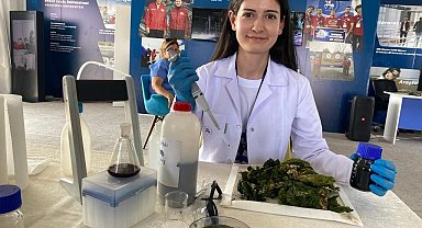 Öğrenciler, deniz yüzeyinde oluşan 'deniz marulları'ndan, hidrojen gazı elde ediliyor