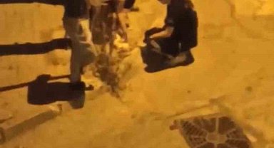 Otomobil çarpan kediye hemşireler dakikalarca kalp masajı yaptı