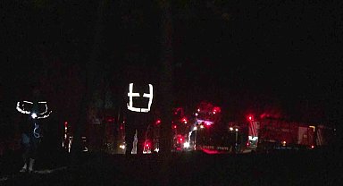 Pendik'te ormanlık alanda çıkan yangın kontrol altına alındı